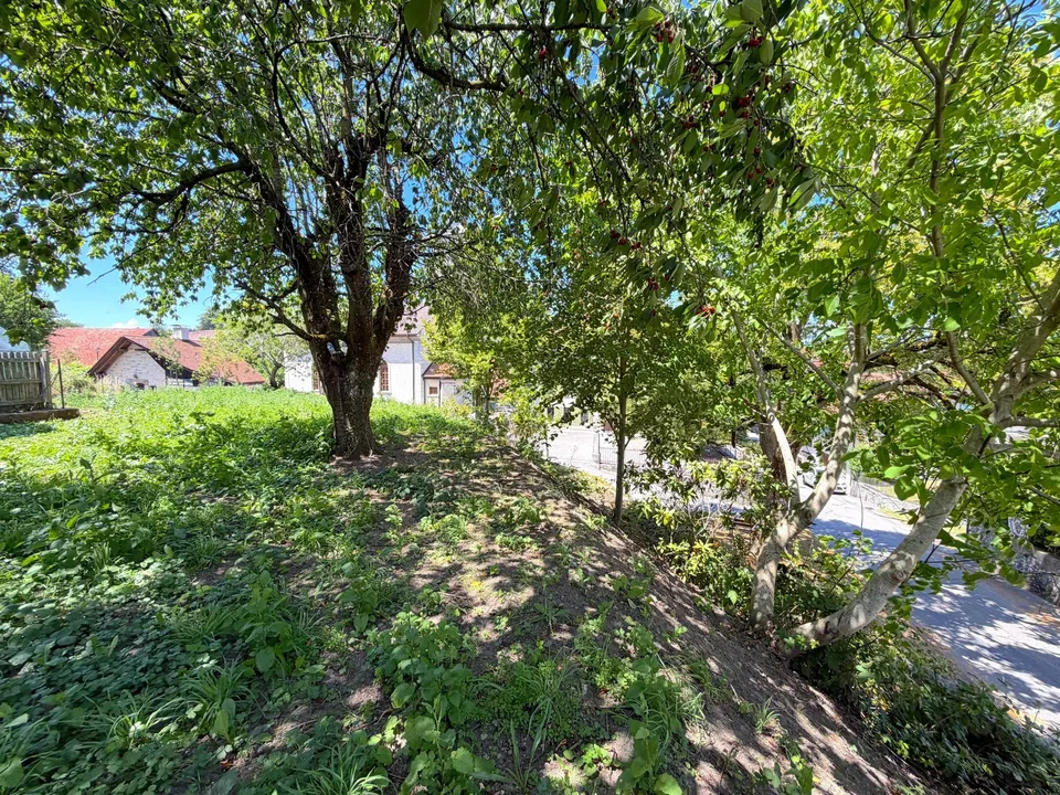 Bauparzelle von 517,00 m2 – Foto 6 von 13