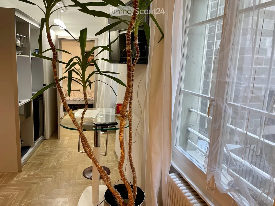 Appartement de 2 pièces meublé en Vieille Ville – foto 16 di 24