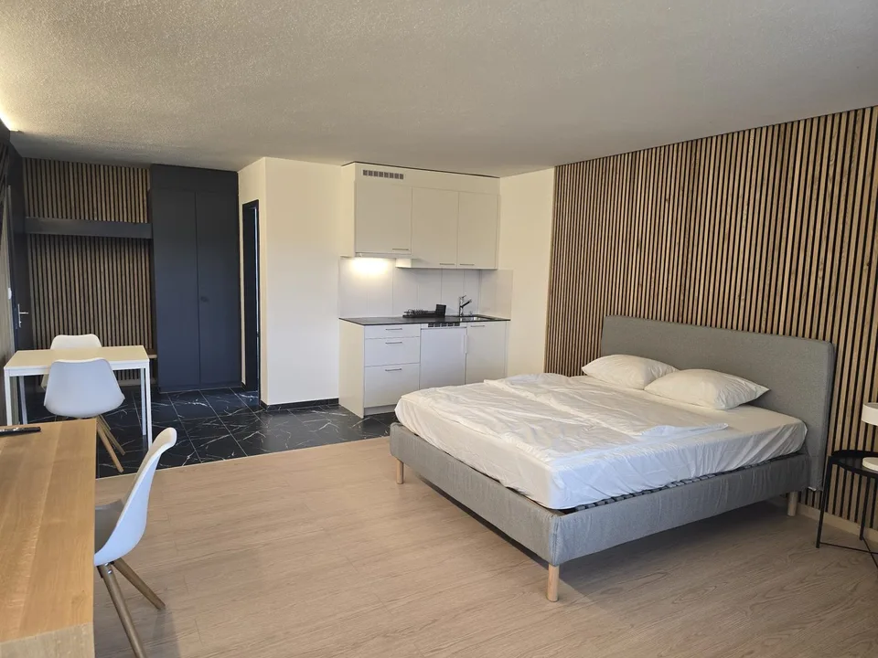 Studio moderne 1 pièce à Niederwil – rénové en 2026 – photo 2 sur 7
