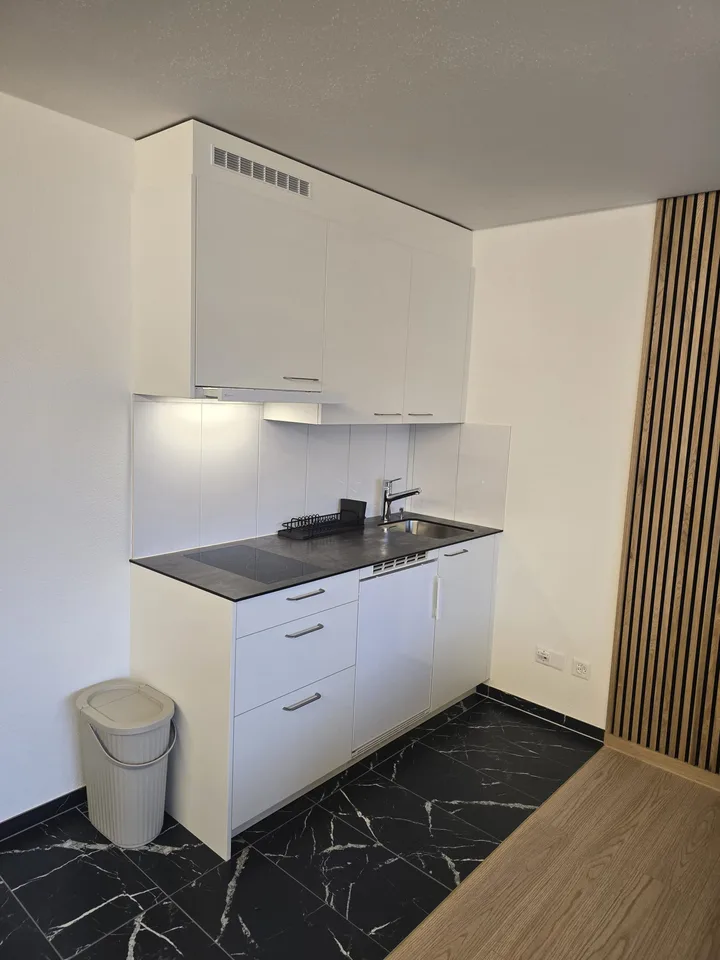 Studio moderne 1 pièce à Niederwil – rénové en 2026 – photo 3 sur 7