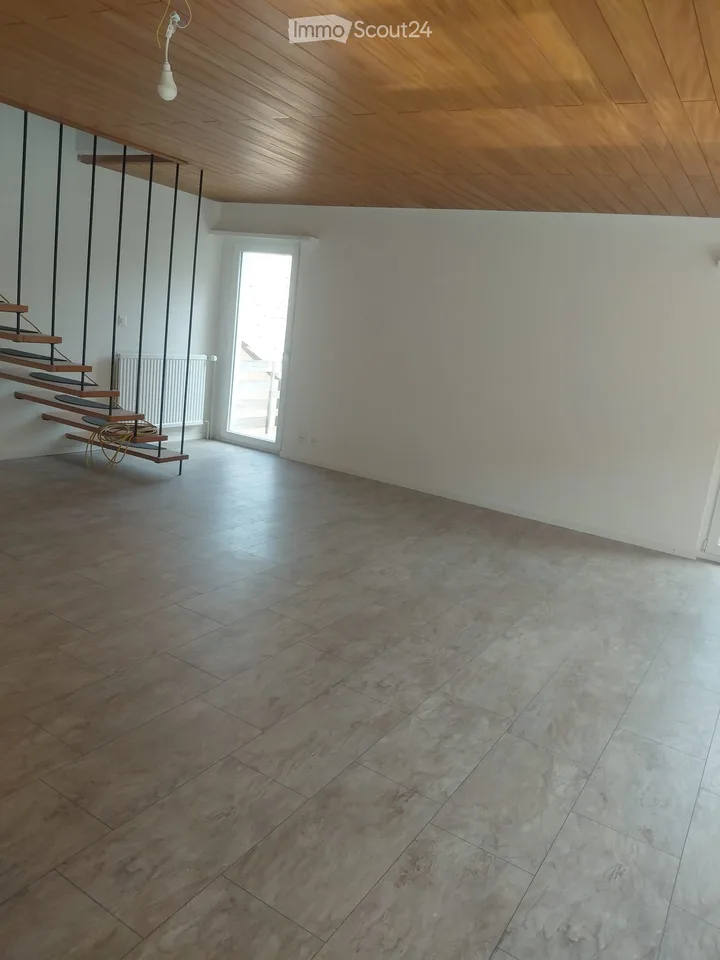 Duplex/Maisonette Apartment in Bibern SH