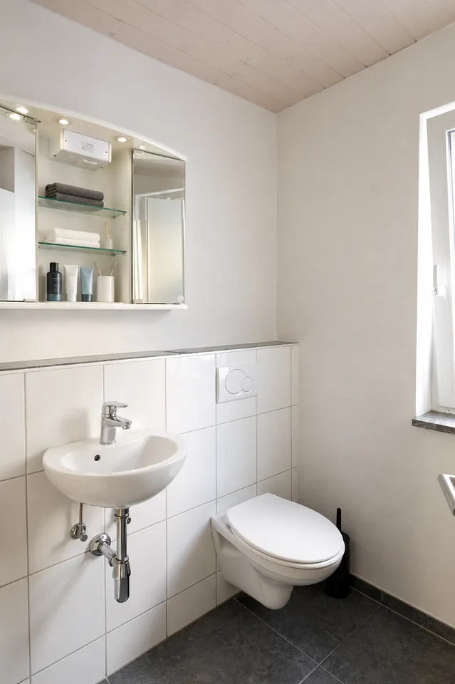 5.5 Zi.-Doppel-EFH mit Ateliergebäude & Werkstatt – Foto 6 von 15