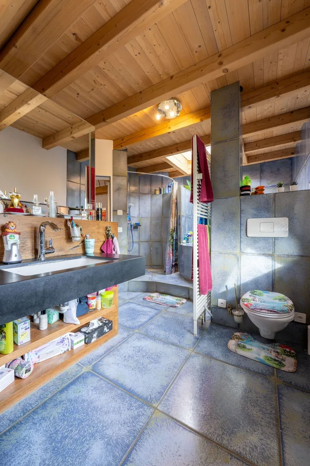 Charmante Duplex-Dachwohnung mit vielseitigen Nutzungmöglichkeiten – Foto 9 von 12