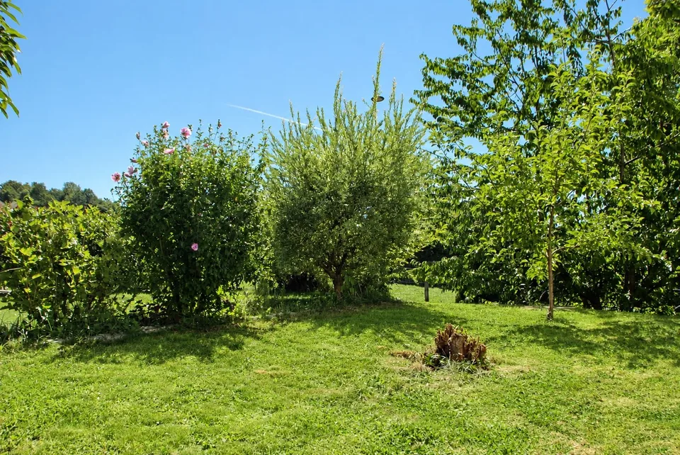 Casa bifamiliare moderna e accogliente di 5,5 locali su Gyrisberg a Burgdorf – foto 7 di 22
