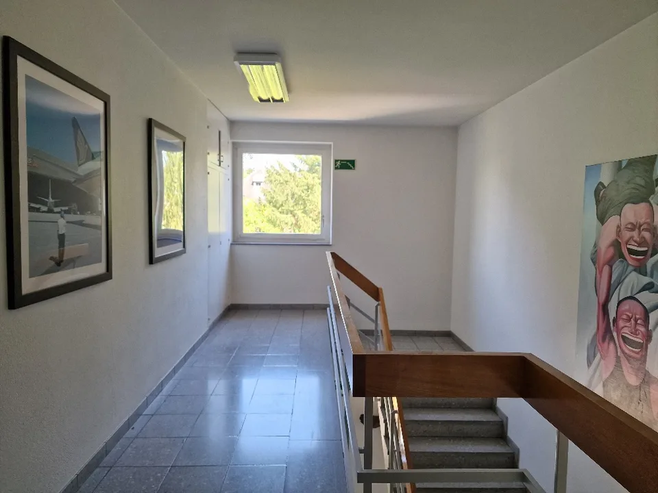 Spazi di ufficio a Gellert – flessibili e attraenti per un uso temporaneo – foto 5 di 8