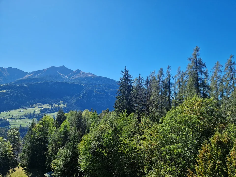 ***Sonniges BIJOU 3.5 - Dachwohnung mit toller Aussicht und nahe dem Laaxer See in Laax Dorf*** – Foto 19 von 22