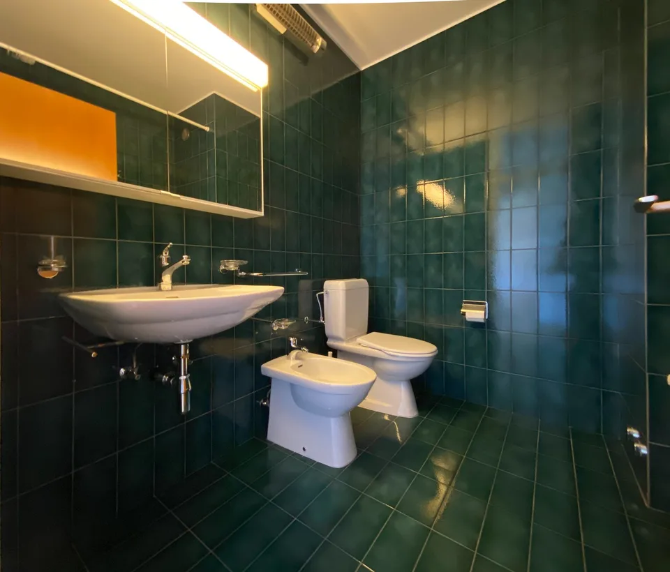Lugano-Savosa, 2.5-Zimmer-Wohnung – Foto 6 von 10