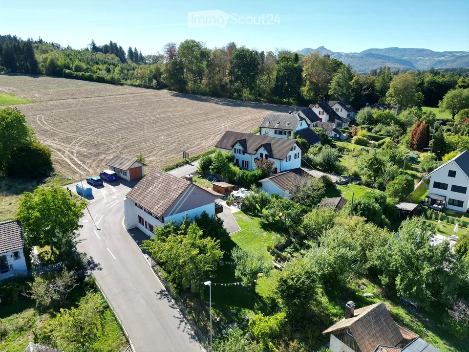 Maison unifamiliale à Dulliken – photo 3 sur 13