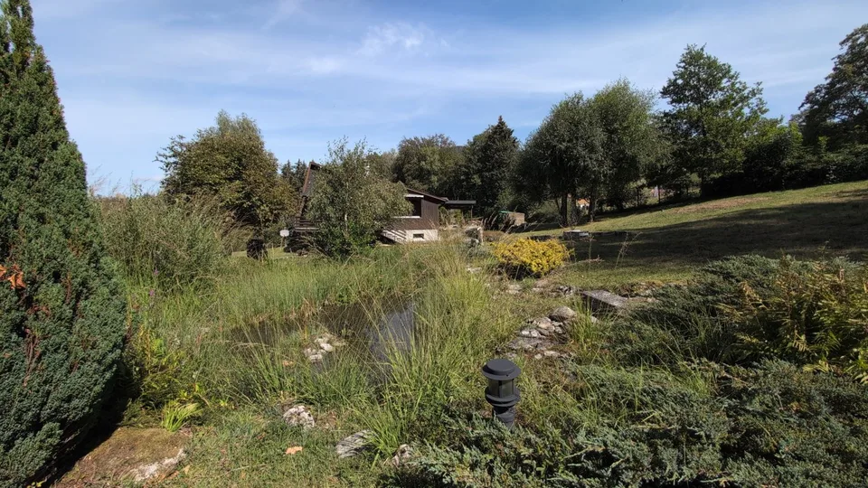 Oasis - Nature in all its splendor! – photo 9 of 13
