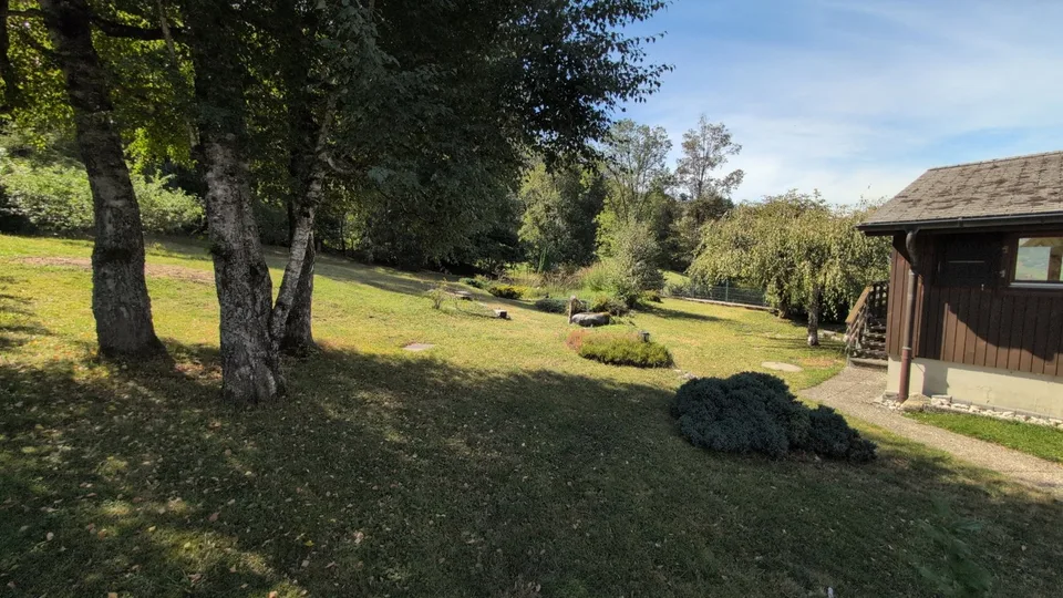 Oasis - Nature in all its splendor! – photo 8 of 13