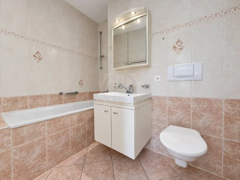 Gemütliche Wohnung - Le Grand-Saconnex – Foto 9 von 10