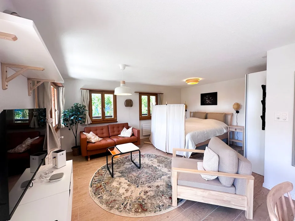 VACANCES - Appartements à louer à Vercorin - Valais central – photo 2 sur 12