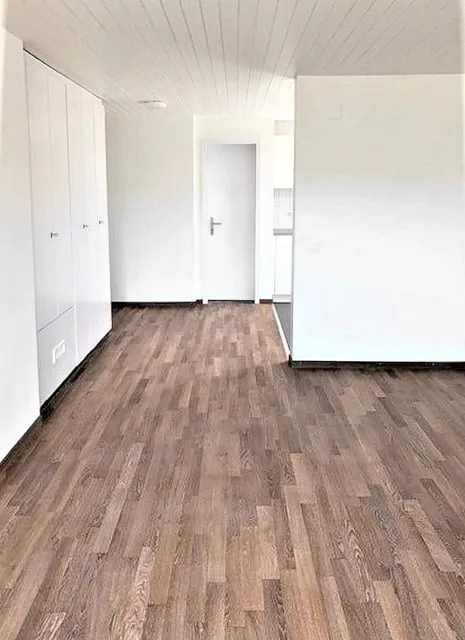Spacious studio apartment – photo 5 of 7