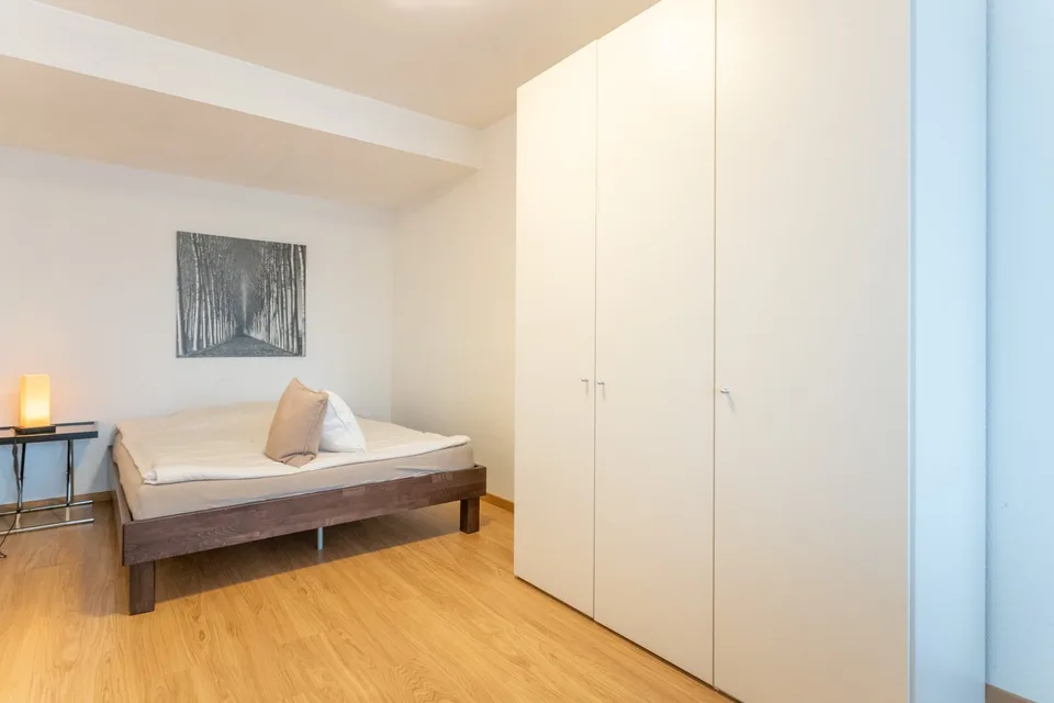 Benvenuti in Mittlere Strasse 142 a Basilea! – foto 2 di 4