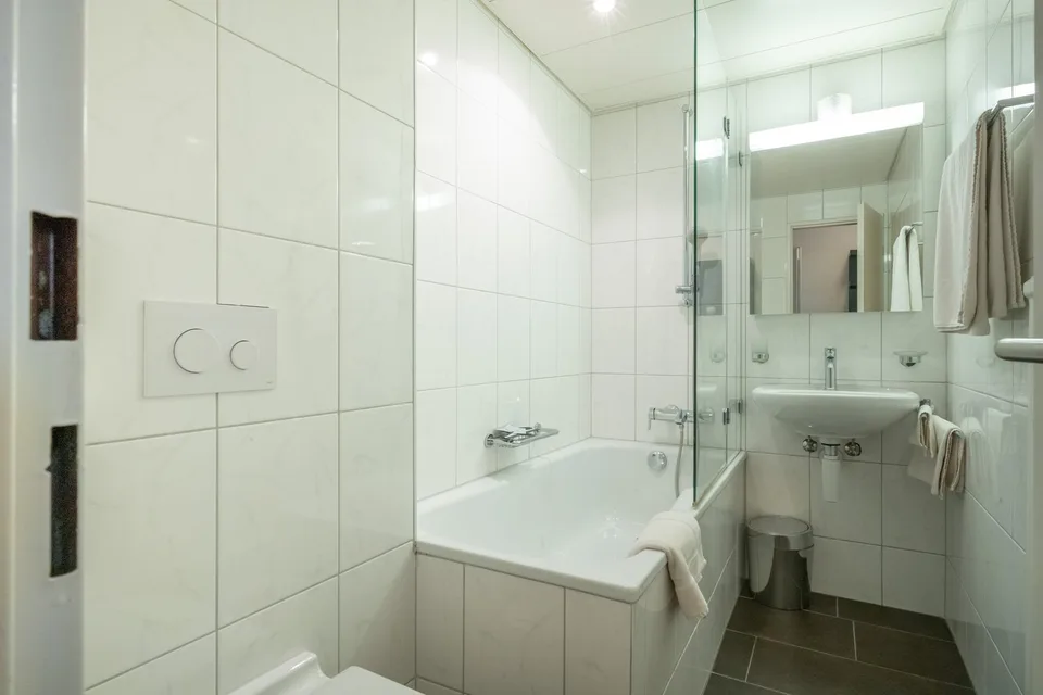 Benvenuti in Mittlere Strasse 142 a Basilea! – foto 4 di 4
