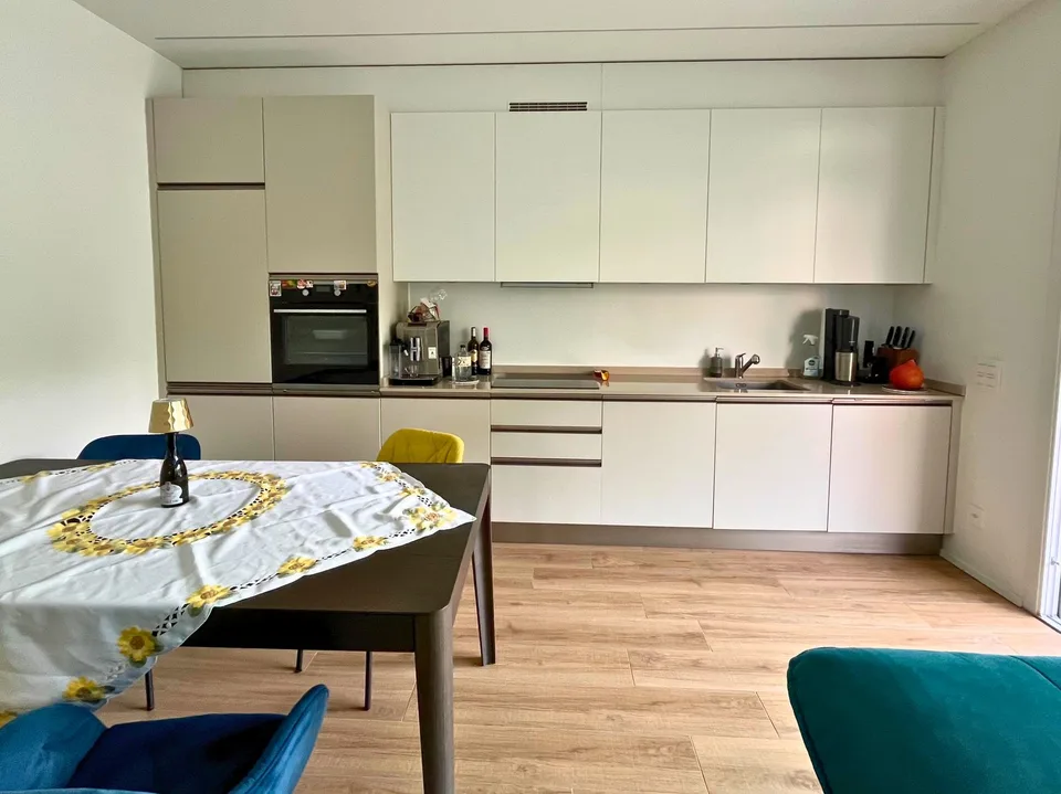 Lugano: neues 2.5-Zimmer-Wohnung, vermietet, nur wenige Minuten vom Bahnhof entfernt – Foto 7 von 13