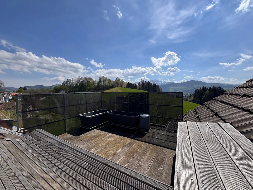 Appartement maisonnette 2.5 pièces avec terrasse sur le toit – photo 8 sur 10