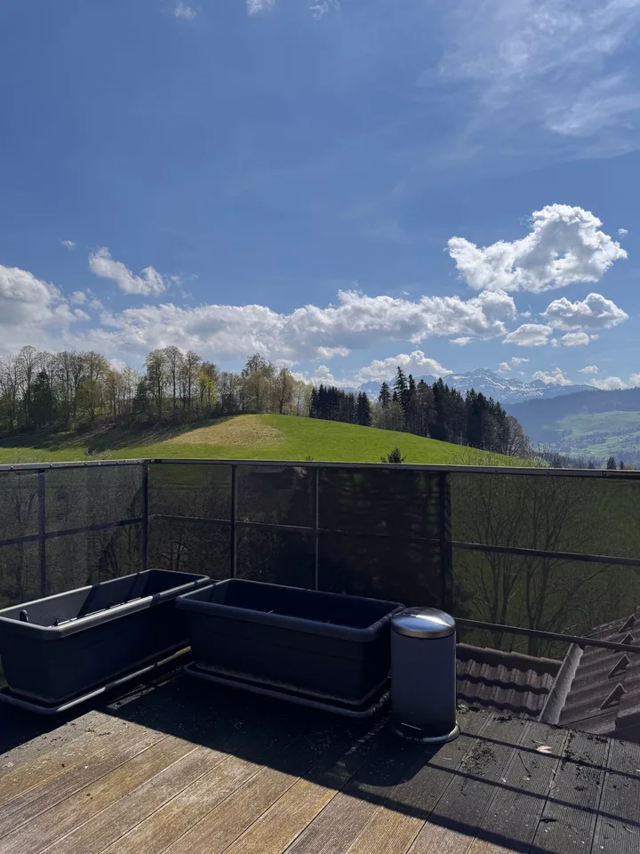 Appartement maisonnette 2.5 pièces avec terrasse sur le toit – photo 9 sur 10