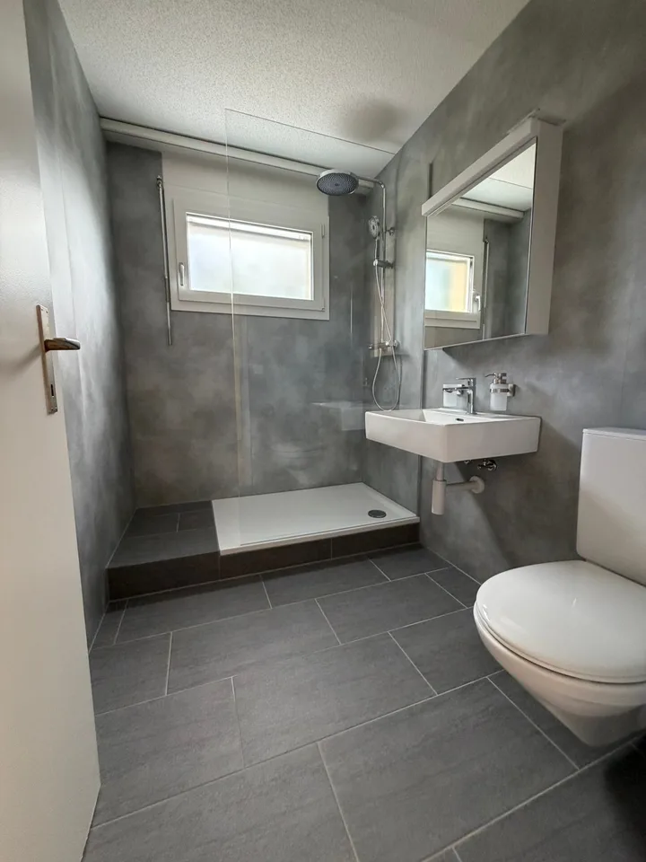 Cozy, renovated 2.5-room apartment with balcony