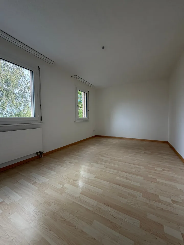 Cozy, renovated 2.5-room apartment with balcony