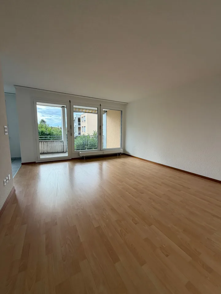 Cozy, renovated 2.5-room apartment with balcony