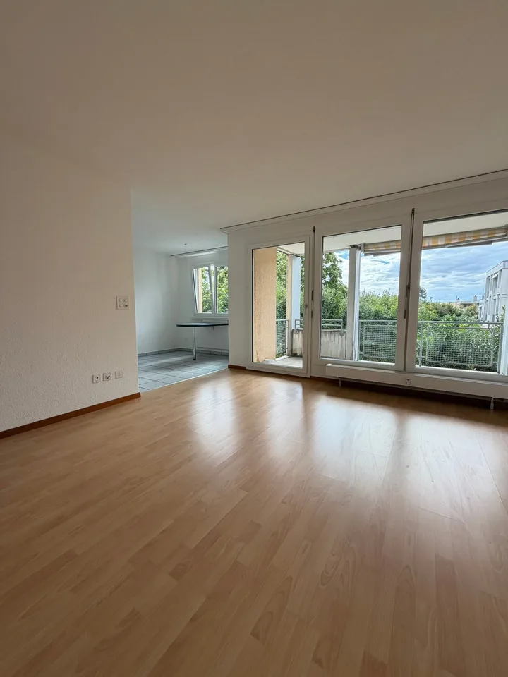 Cozy, renovated 2.5-room apartment with balcony