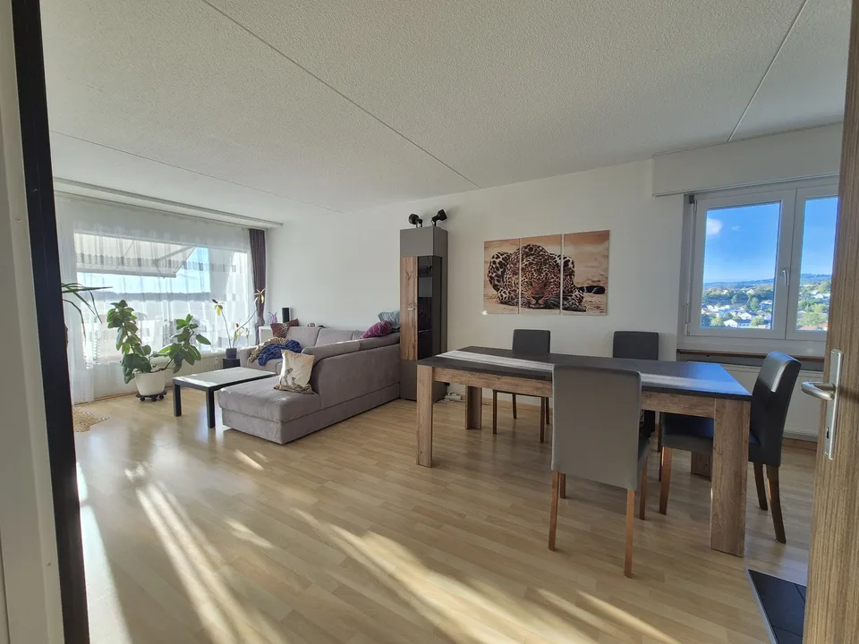 3 ½ Zimmer-Wohnung, 8630 Rüti ZH