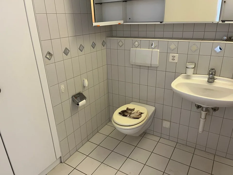 5.5 Zimmer-Reiheneinfamilienhaus mit Wintergarten, 2 Balkonen und 2 Garagenboxen. – Foto 20 von 29