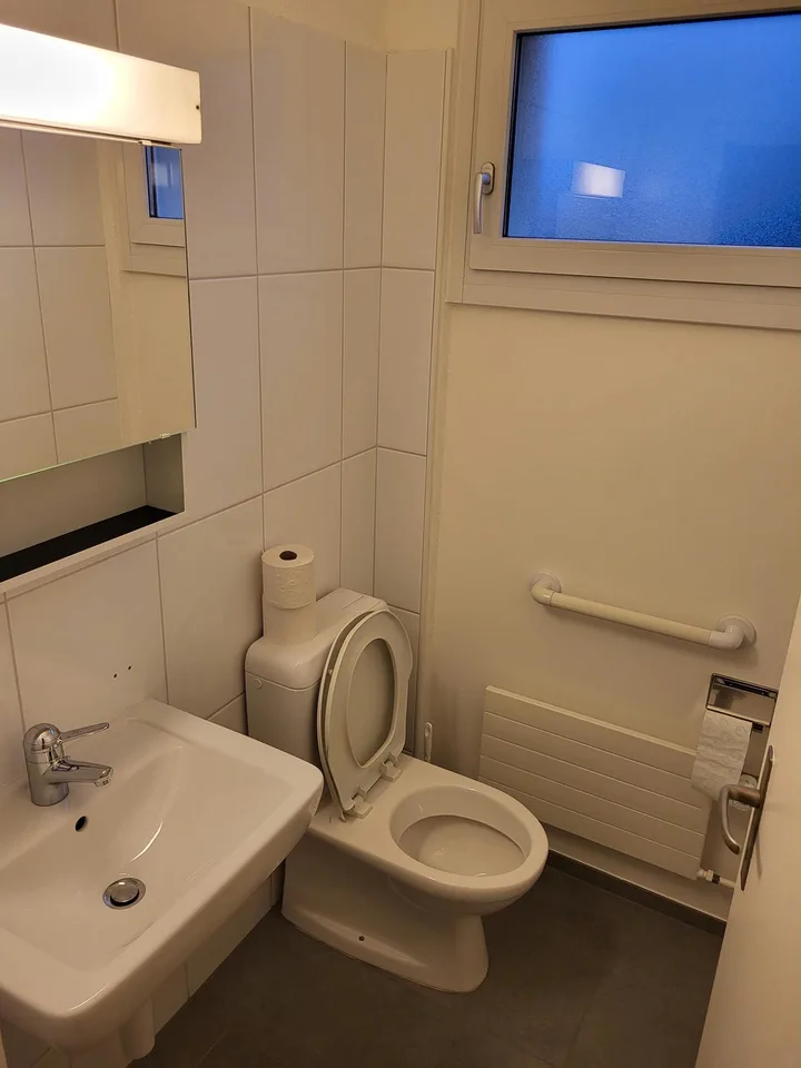 Möbliertes Smart-Zimmer in grosser Wohnung am Waldrand Pfaffhausen (Zürich)
