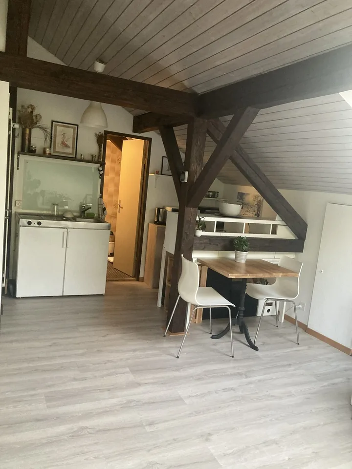 Sous-location Studio Horgen