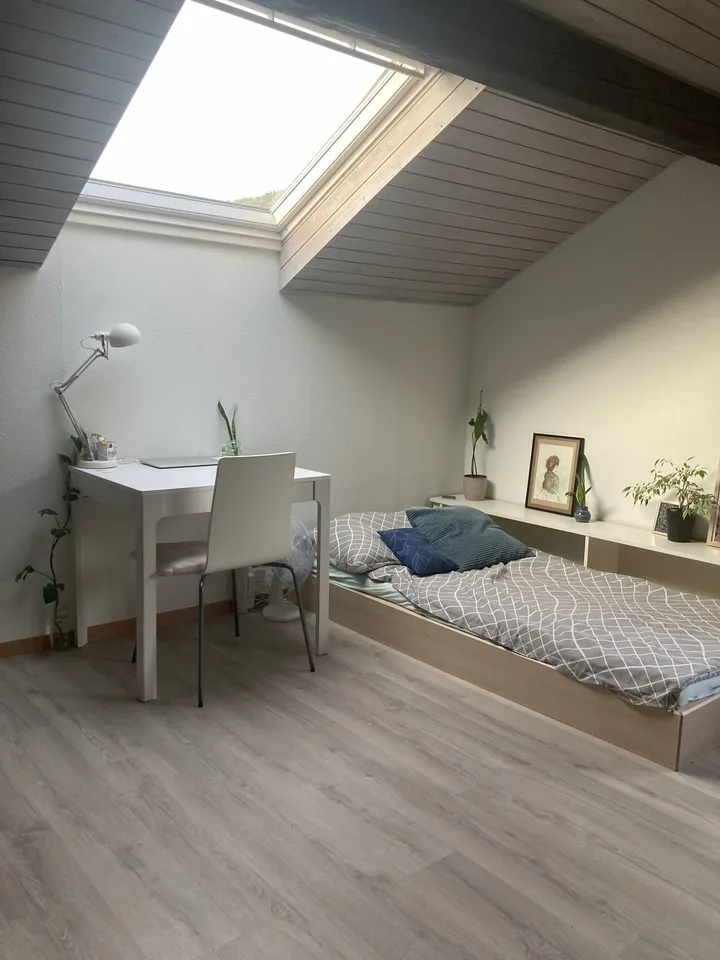 Sous-location Studio Horgen