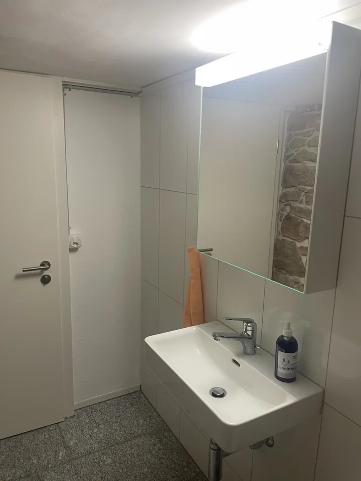 Cave voûtée rénovée au cœur de Hallau – photo 7 sur 8