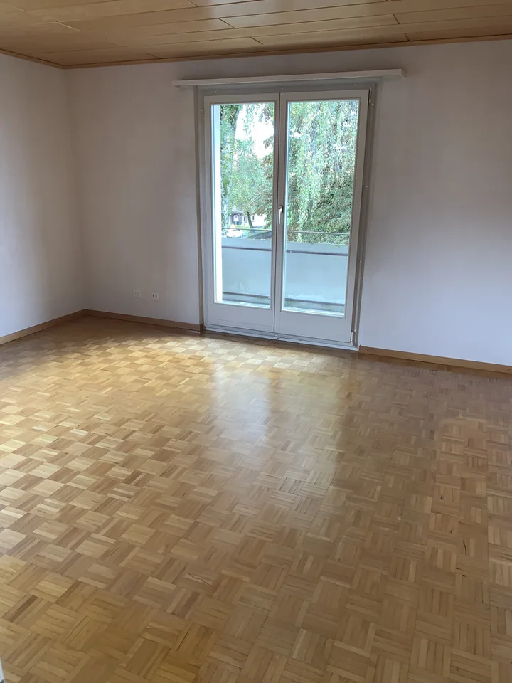 Appartement idyllique 4 pièces dans un quartier calme à Wetzikon – photo 4 sur 10