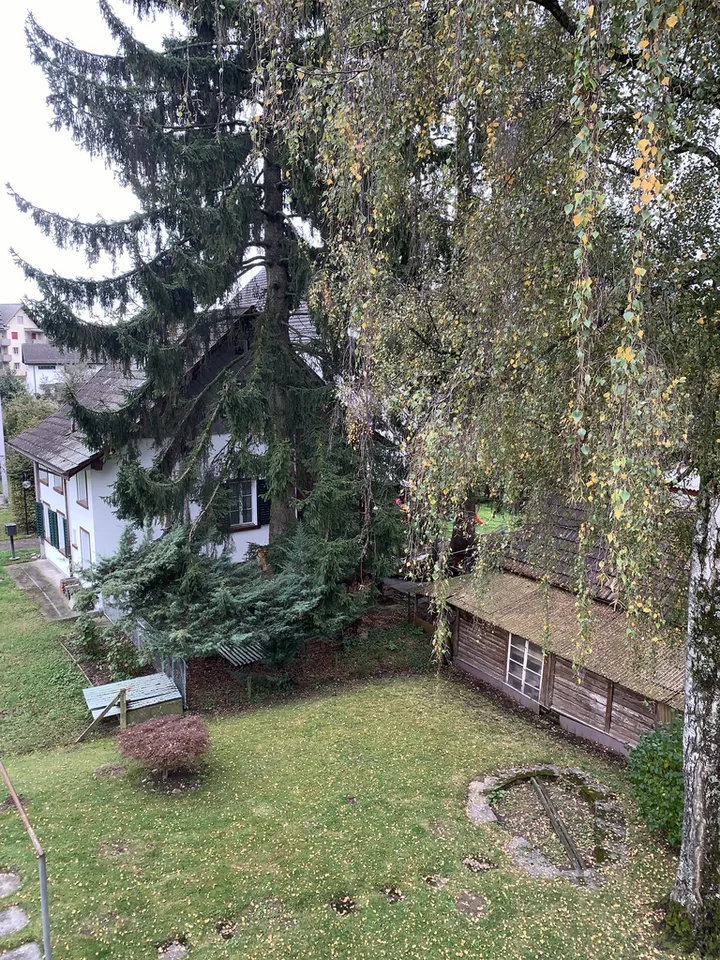 Appartement idyllique 4 pièces dans un quartier calme à Wetzikon – photo 5 sur 10