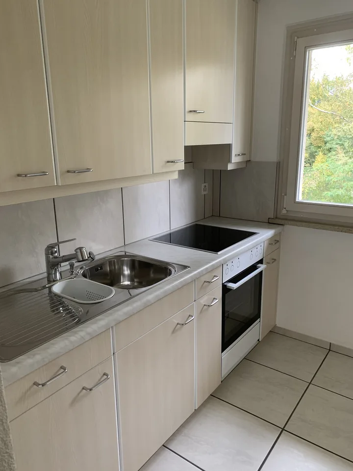 Appartement idyllique 4 pièces dans un quartier calme à Wetzikon – photo 2 sur 10