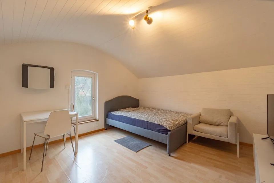 7 möblierte Zimmer, Garten und Ertrag in Baden – Foto 16 von 24