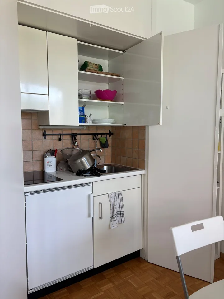 Gesucht: Einziehender für dieses Einzimmerapartment in Locarno – Foto 3 von 5