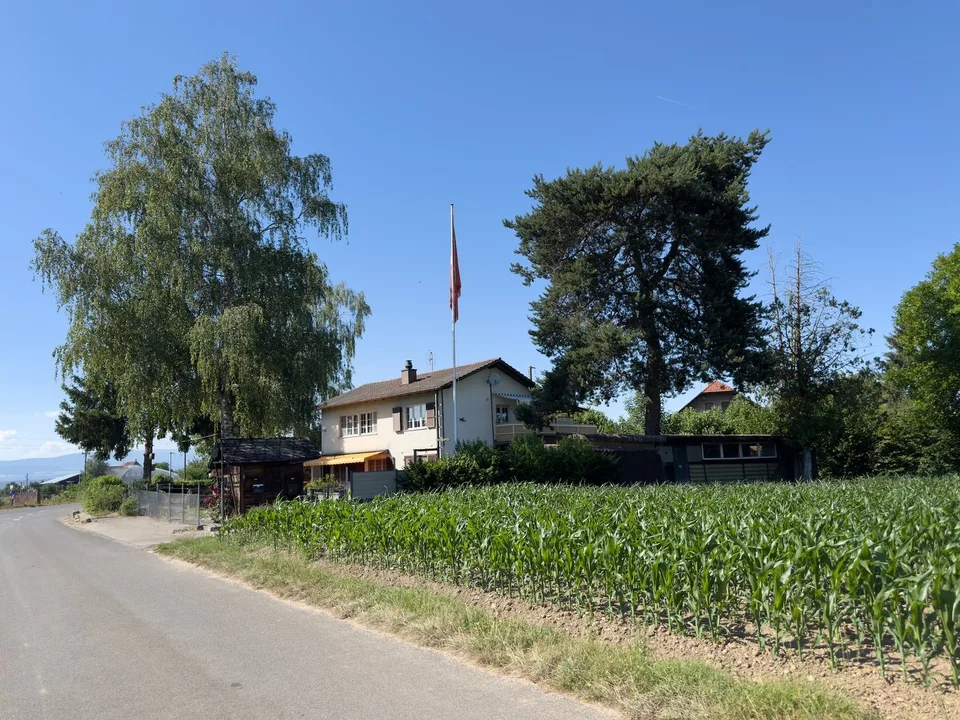 Appartamento di giardino 3.5 locali con ambiente magnifico e grande giardino invernale – foto 6 di 13