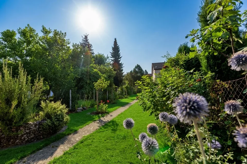 4.5-Zimmer Reiheneinfamilienhaus an idealer und ruhiger Lage – Foto 3 von 21