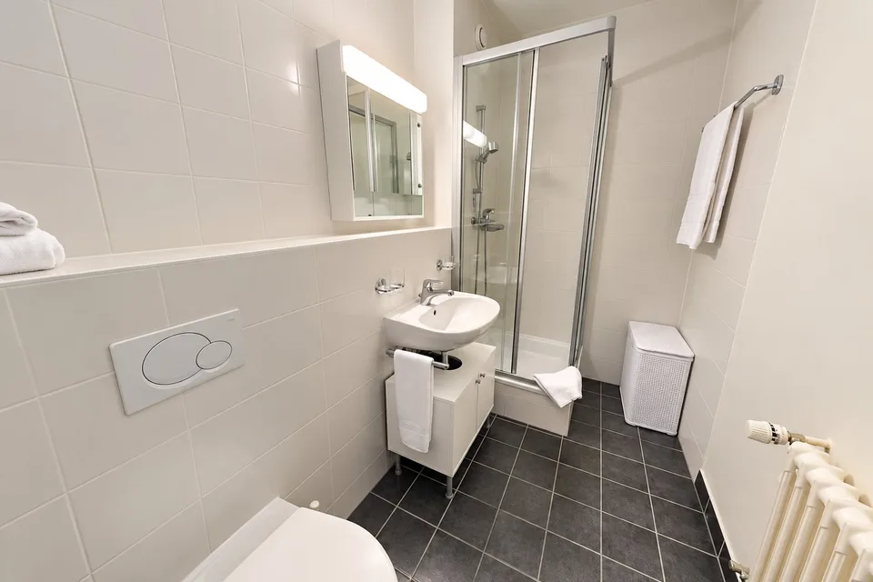 Modern Fully Furnished Studio near University of Geneva & HUG - Plainpalais, Geneva – foto 8 di 8