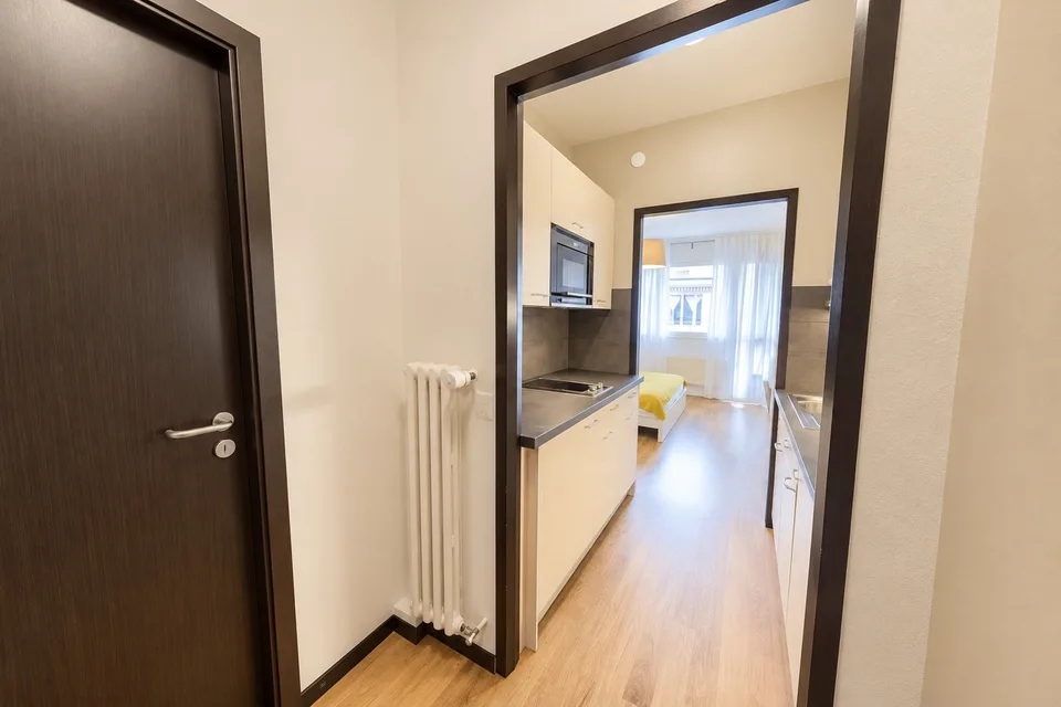 Modern Fully Furnished Studio near University of Geneva & HUG - Plainpalais, Geneva – foto 4 di 8