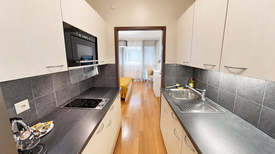 Modern Fully Furnished Studio near University of Geneva & HUG - Plainpalais, Geneva – foto 3 di 8