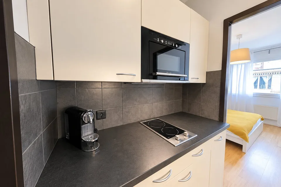 Modern Fully Furnished Studio near University of Geneva & HUG - Plainpalais, Geneva – foto 5 di 8