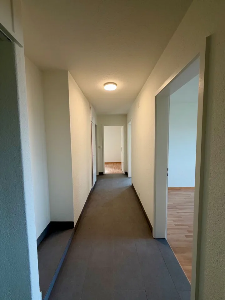 Appartement partiellement rénové dans un endroit calme entouré de verdure, directement au bord de la forêt ! – photo 8 sur 10