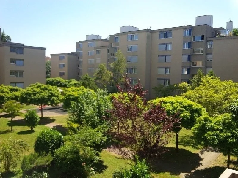 Gemütliche 3-Zimmer-Wohnung in Zürich-Altstetten (Befristung bis 30.09.2027) – foto 10 di 10