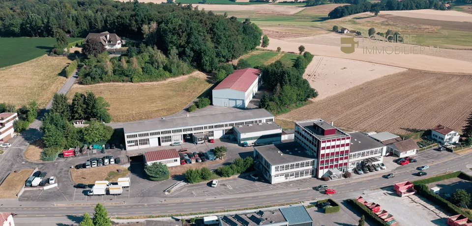 For Sale - Artisanal, Industrial and Administrative Building in Schmitten – photo 4 of 4