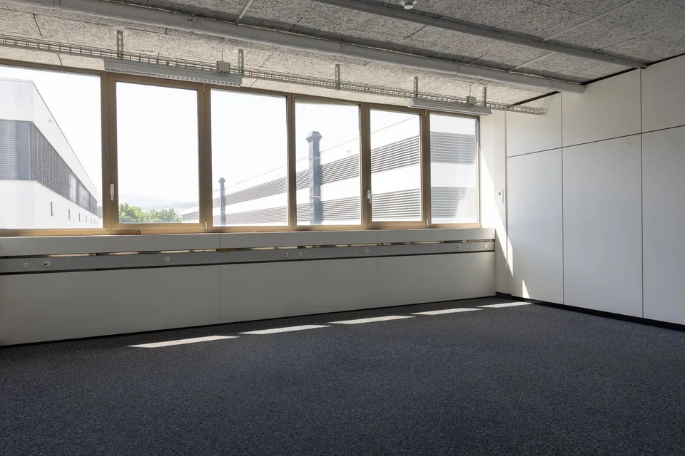 Travailler au lieu de faire étalage - Reinach pour le bureau pour la vraie vie – photo 3 sur 5