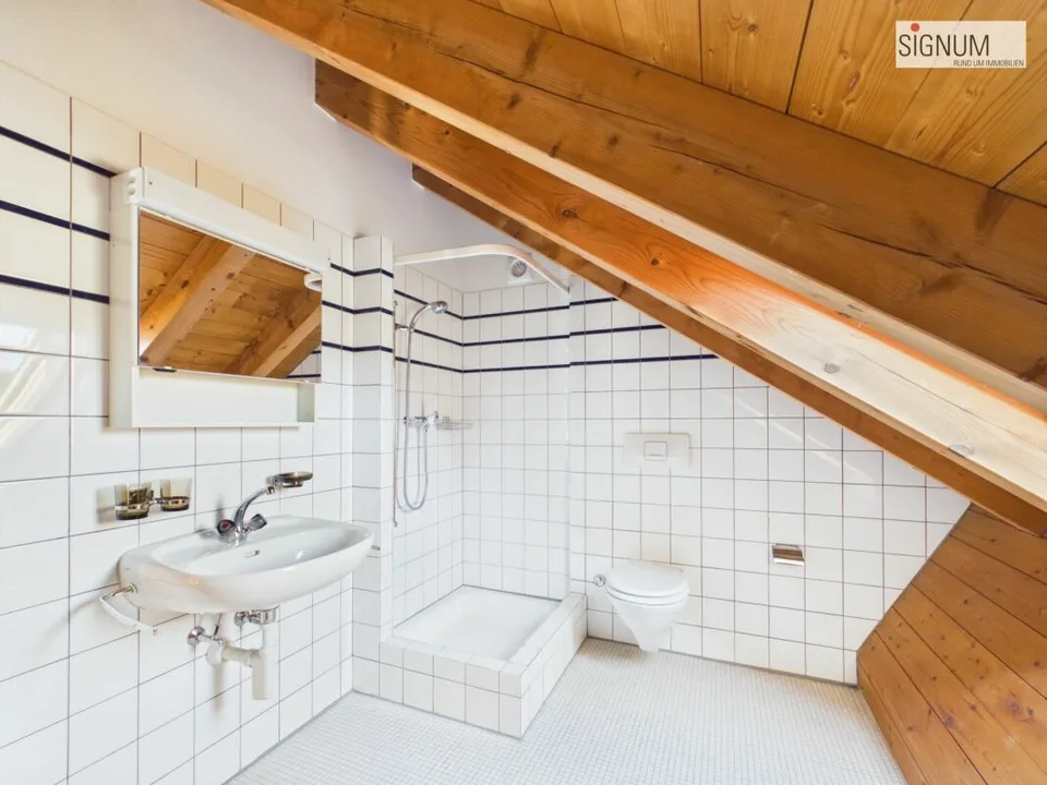 Casa unifamiliare ristrutturata, adatta alle famiglie con giardino a Binningen – foto 16 di 18