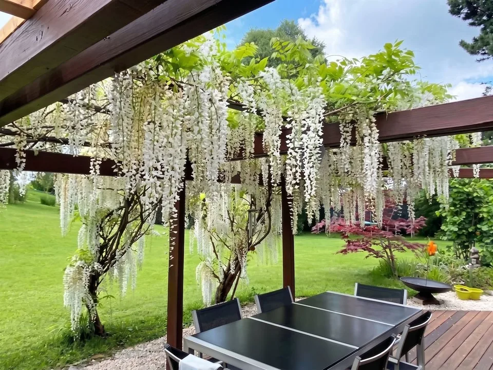 6 Zimmer Einfamilienhaus in Forel (Lavaux) – Foto 7 von 12