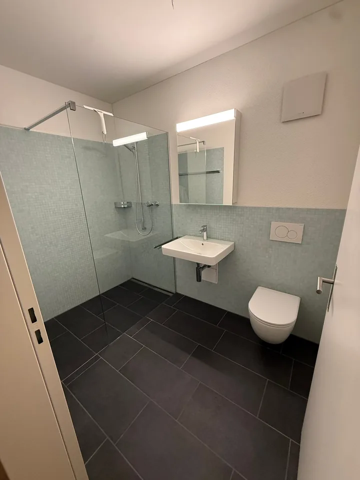 Moderne 2.5-Zimmer-Wohnung mit Bergblick in Rebstein – Foto 5 von 10